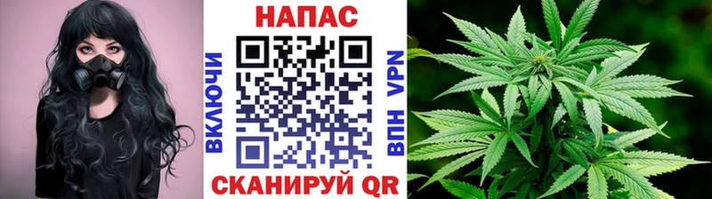 Канабис MAZAR  Сысерть 